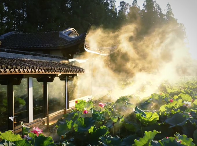 A serene landscape photograph featuring traditional East Asian architecture with curved tile roofs beside a misty pond filled with green lotus leaves and pink flowers, illuminated by warm sunlight.