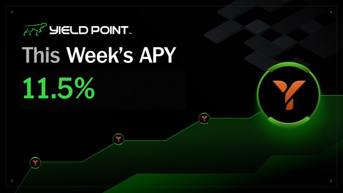 A dark promotional graphic for 'YIELD POINT' advertises 'This Week's APY 11.5%' in bright green text alongside a circular Y logo.