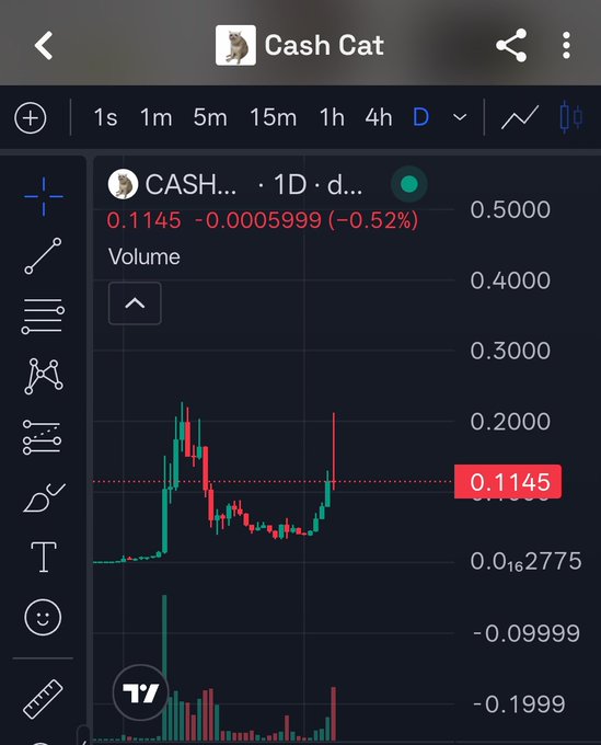 The image shows a TradingView chart for "Cash Cat" (CASH...) with a 1D timeframe, displaying a current price of 0.1145, down 0.52% (-0.0005999), illustrating the volatile and disappointing price action the post is criticizing. The chart shows a brief spike followed by a decline, reflecting the poster's frustration that the Robinhood-listed token failed to pump significantly.