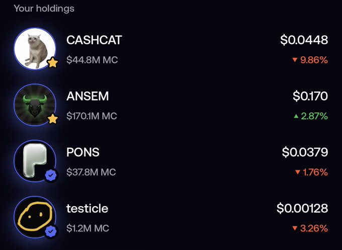 A dark-themed crypto portfolio screen showing holdings: CASHCAT ($0.0448), ANSEM ($0.170), PONS ($0.0379), and testicle ($0.00128) with their respective market caps and percentage changes.