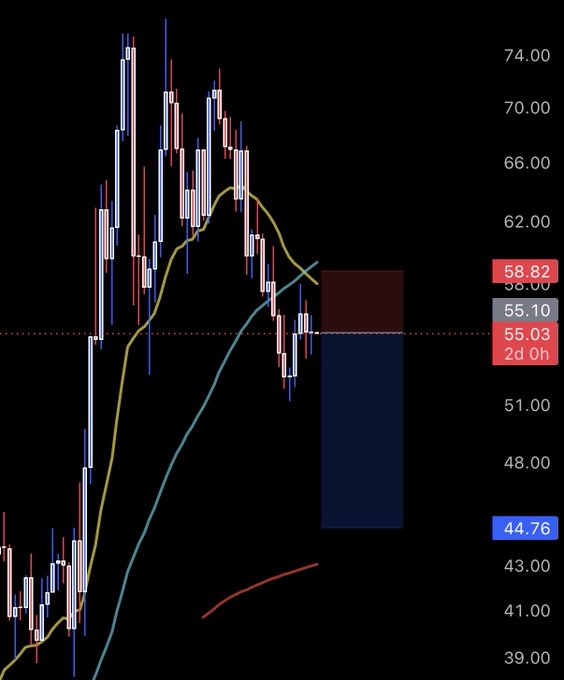 A candlestick chart shows a stock's price action peaking near $74 before declining, with the current price at $58.82 (below the 2-day opening level of $55.03) and showing a gap down toward a low of $44.76, illustrating the short weakness in $HYPE.