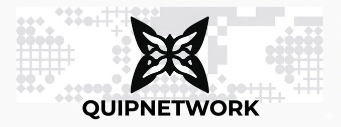 A black-and-white logo featuring a stylized four-pointed emblem above the text 'QUIPNETWORK', overlaid on a background of pixelated geometric patterns.
