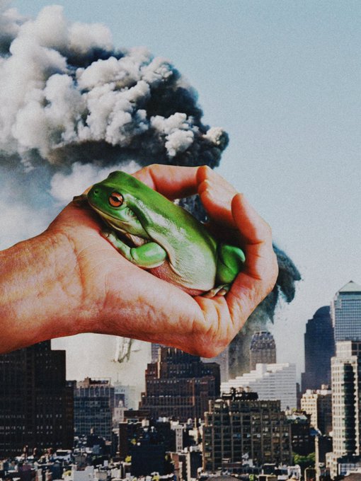A surreal collage shows a hand holding a green tree frog in the foreground, with a billowing smoke cloud resembling an explosion over a city skyline in the background.