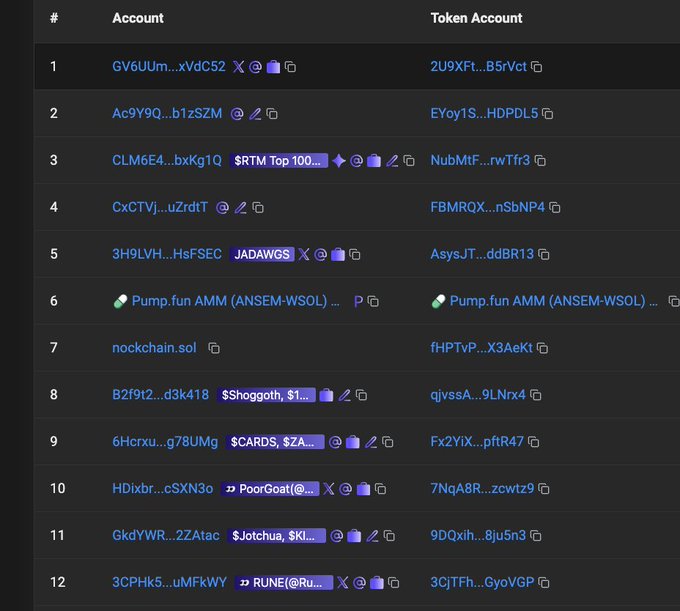 A leaderboard screenshot showing the top 12 holders of a token, with the user "nockchain.sol" at rank 7, displaying account addresses, token labels like $RTM, JADAWGS, $Shoggoth, $CARDS, $Jotchua, and RUNE, alongside their associated token account addresses on what appears to be a Solana-based tracker.
