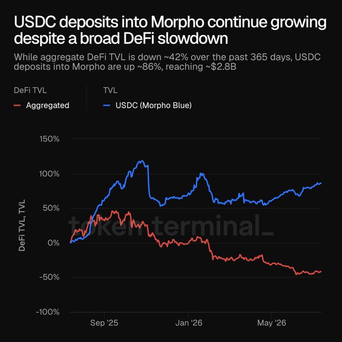 The graph illustrates that USDC deposits into Morpho (blue line) have surged by approximately 86% to $2.8B, while aggregate DeFi TVL (red line) has declined by about 42% over the past year. This visual data supports the statement about Morpho's growth amidst a broader DeFi slowdown.