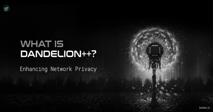 Title slide reading 'WHAT IS DANDELION++? Enhancing Network Privacy' with a digital dandelion graphic featuring a microchip at its center, branded with beldex.io.
