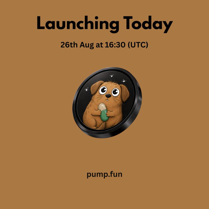 Pump.fun meme coin launch announcement stating 'Launching Today, 26th Aug at 16:30 (UTC)' featuring a cartoon dog holding a pill.