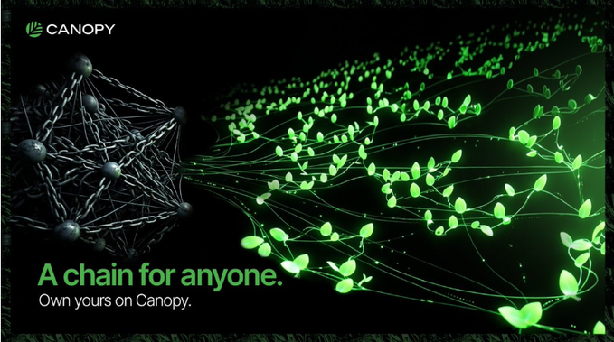A promotional graphic for 'CANOPY' featuring a network visualization that transitions from dark nodes on the left to glowing green leaves on the right, with the tagline 'A chain for anyone. Own yours on Canopy.'