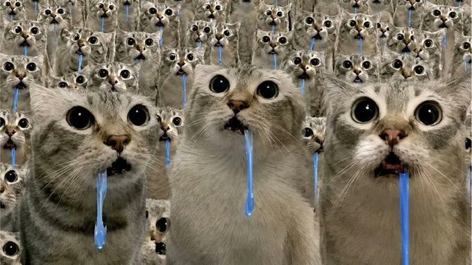 Three cats with comically wide eyes drool streams of blue liquid, visually capturing the "drooling" meme referenced in the caption about the $drooling token amid a hyped market cycle.