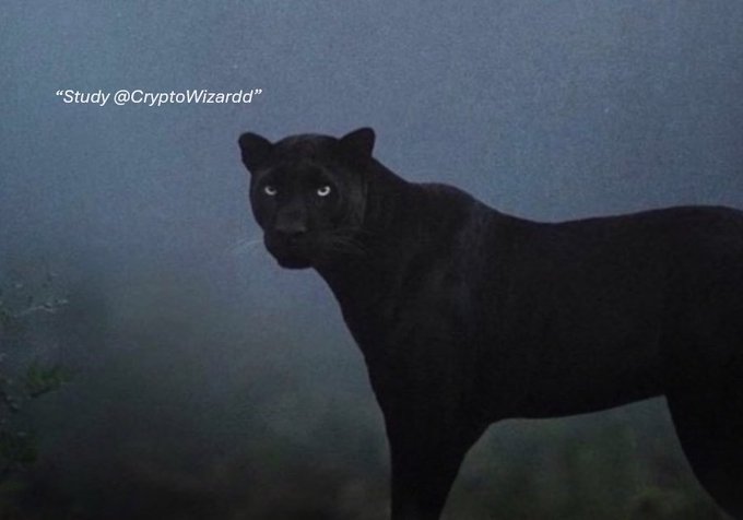A black panther stands in misty blue fog, its glowing eyes piercing through the haze as it stares directly at the viewer. The text "Study @CryptoWizarrdd" appears in the upper left, and the solitary, elusive cat visually reinforces the caption "Few," symbolizing rarity and scarcity.