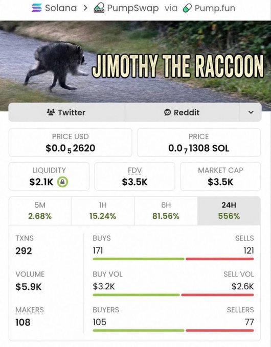 The image shows trading metrics for the Solana memecoin "$JIMOTHY" (Jimothy the Raccoon) traded on PumpSwap via Pump.fun, with a current price of $0.0₅2620 (0.0₂1308 SOL), $2.1K liquidity, $3.5K FDV/Market Cap, and a notable 556% gain over 24 hours on 292 transactions. The post promotes $JIMOTHY as a successful past call while teasing a new upcoming trade, using the impressive 24H percentage gain as social proof for the coin's profitability.
