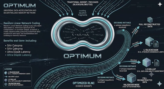 An infographic for 'OPTIMUM' explaining a Universal Data Acceleration and Decentralized Memory Network using Random Linear Network Coding, showing data flow from L1 Blockchain, L2 Rollup, and Validator Node to full reconstructed data.