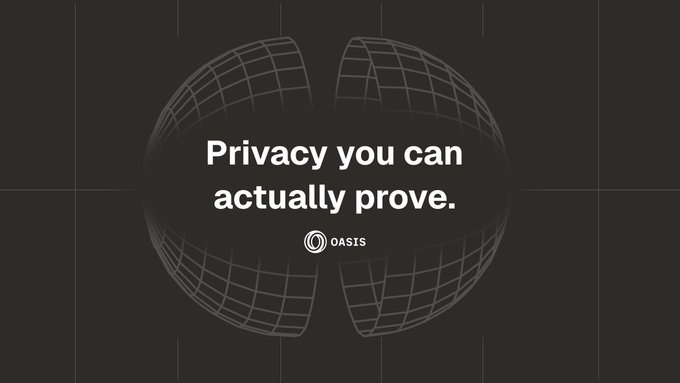 The image features a black background with white text, which reads "Privacy you can actually prove." The text is written in a serif font style, making it easy to read. The image also includes an illustration of a globe or map that has been cut in half and is placed on the right side of the image.