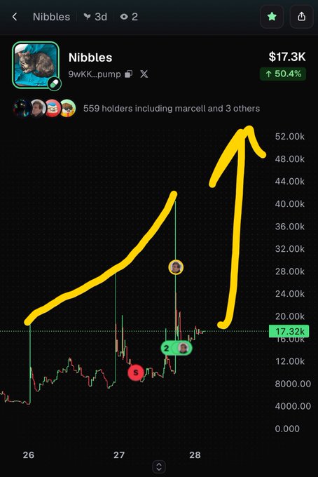 A cryptocurrency chart for 'Nibbles' (9wKK...pump) showing a value of $17.3K with a 50.4% increase, featuring a yellow arrow drawn upward over the price graph.