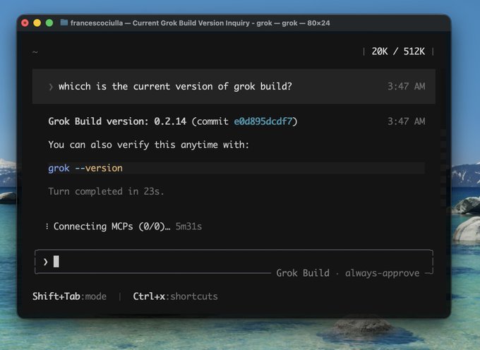 The image shows a screenshot of a webpage, with text displayed on the screen. It appears to be an error message, possibly related to Grok Build or the current version of Grok Build. The message indicates that "Grok Build" is in a different version than what's currently installed and that it might take some time for the build to complete.