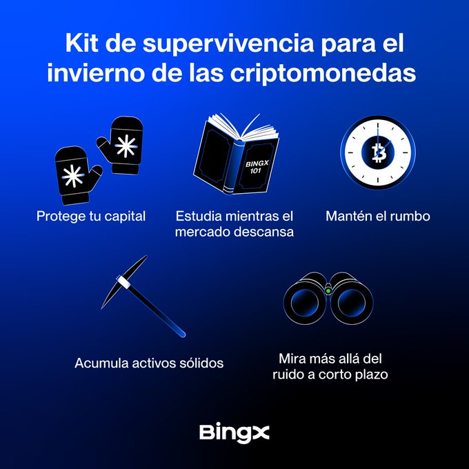 Blue infographic titled 'Kit de supervivencia para el invierno de las criptomonedas' (Crypto winter survival kit) by BingX, featuring icons for protecting capital, studying, staying on course, accumulating solid assets, and looking beyond short-term noise.