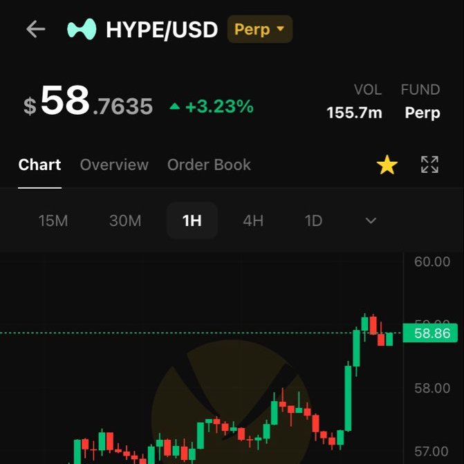 A cryptocurrency trading chart showing the HYPE/USD perpetual contract priced at $58.7635 with a +3.23% increase and 155.7M volume on a 1-hour timeframe.