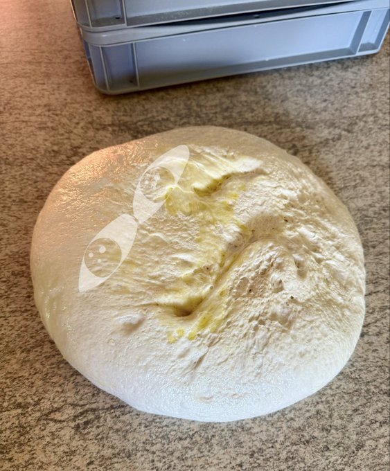 A loaf of risen, unbaked bread dough with a glossy surface resting on a speckled countertop, with a plastic storage container visible in the background.