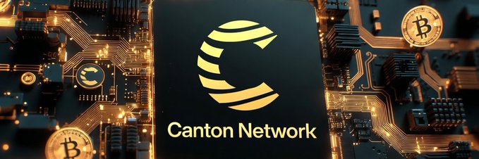 The image features the "Canton Network" logo displayed prominently on a circuit board background alongside Bitcoin symbols, suggesting a connection between blockchain technology and cryptocurrency projects. This visual ties into the post's promotion of an access code service for exploring various projects being built on the Canton Network.