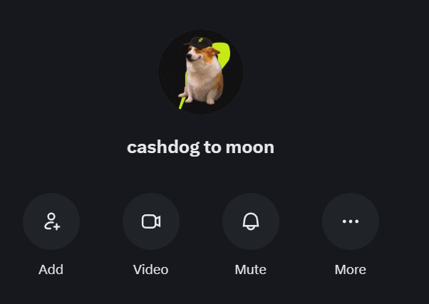 A messaging app profile screen displaying 'cashdog to moon' with a profile picture of a Shiba Inu dog wearing a hat against a yellow background, alongside Add, Video, Mute, and More options.