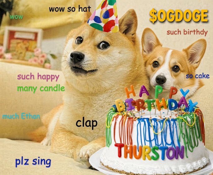A birthday-themed meme featuring two Shiba Inu dogs, one wearing a party hat, next to a cake reading 'HAPPY BIRTHDAY THURSTON', with doge-style text overlay including 'wow so hat', '$OGDOGE', and 'such birthday'.