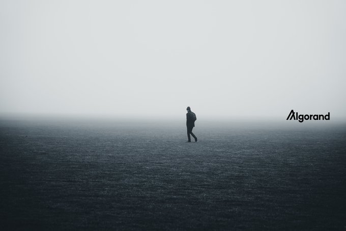 A minimalist, foggy landscape showing the silhouette of a lone person walking, with the Algorand logo displayed on the right side.