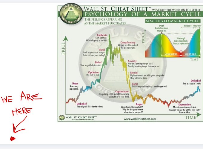 The Wall St. Cheat Sheet 'Psychology of a Market Cycle' chart showing emotional stages from Hope to Disbelief along a price/time curve, with a hand-drawn red arrow and 'WE ARE HERE' annotation pointing to the Disbelief stage at the bottom left.