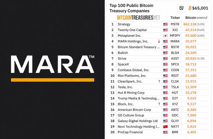 The image displays the MARA logo alongside the Bitcoin Treasuries "Top 100 Public Bitcoin Treasury Companies" list, showing MARA Holdings (ticker: MARA) ranked #4 with 35,577 BTC, just behind Strategy (842,138 BTC), Twenty One Capital (43,514 BTC), and Metaplanet (43,000 BTC), with BTC priced at $65,001. This visual supports the post's claim about MARA dumping 40% of its holdings, as the chart positions MARA as a major corporate Bitcoin holder whose recent selloff of 23,093 BTC (~$1.6B) suggests capitulation ahead of a market bottom.