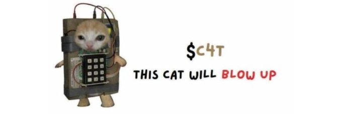 A meme features a small hamster attached to an explosive device with the text '$C4T THIS CAT WILL BLOW UP' written next to it.