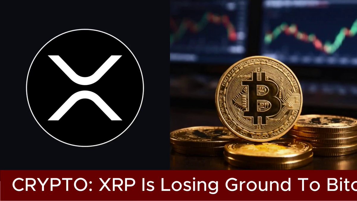 The image features a close-up of four gold bitcoins stacked next to each other against a dark background. At the top right corner, there's an article or explanation titled "XRP Is Losing Ground To Bitcoin" which discusses the relationship between XRP (XRP) and Bitcoin (BTC). The text explains that despite XRP losing ground to Bitcoin in terms of volume, Bitcoin continues to climb from its lowest point due to structural weaknesses. The phrase "focus on what is in the image" suggests that the main point or focus of the article might be on the comparison between XRP and Bitcoin.