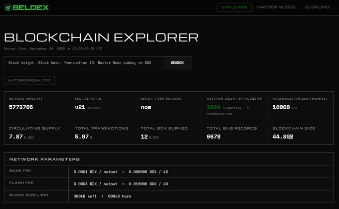 A dark-themed BELDEX blockchain explorer webpage displaying a block height of 577376, total transactions of 5.87, circulating supply of 7.87 BDX, and other network parameters.