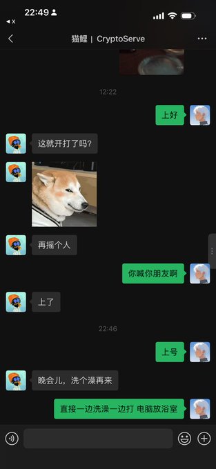 A chat screenshot with contact '猫蟹 | CryptoServe' showing messages in Chinese and a Shiba Inu dog photo, with timestamps 12:22 and 22:46.