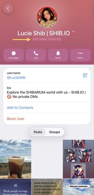 The image shows a Telegram profile page for "Lucie Shib | SHIB.IO" (@Lucieshib), with an arrow highlighting the "last seen recently" status indicator beneath her name. This relates to the post's suggestion that the people being searched for—including Lucie—aren't truly missing but are quietly observing the online commotion, as evidenced by her recent activity on the platform.