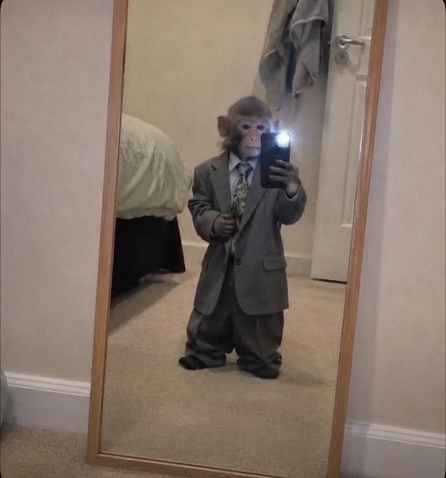 A small monkey dressed in an oversized grey suit and tie takes a mirror selfie with a smartphone.