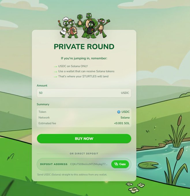 A website interface displays a 'PRIVATE ROUND' purchase page for the $STURTLE token on the Solana network. The page shows an amount field of 50 USDC, a green 'BUY NOW' button, and cartoon turtle mascots above the form.