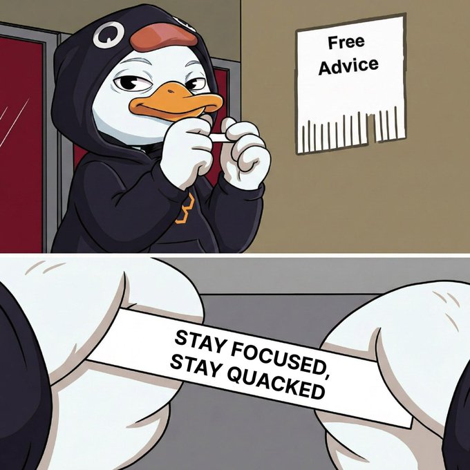 The image features two cartoon penguins wearing hoodies with the text "Stay focused, stay quacked". One penguin is holding a piece of paper while standing next to another penguin that has a sign hanging above its head. The signs display advice on staying focused and being consistent in their efforts.