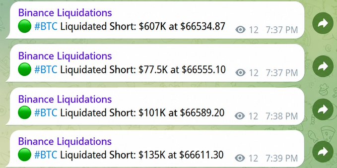 Telegram channel notifications showing multiple Binance Liquidations alerts for #BTC short positions, including $607K at $66534.87, $77.5K at $66555.10, $101K at $66589.20, and $135K at $66611.30 between 7:37-7:39 PM.