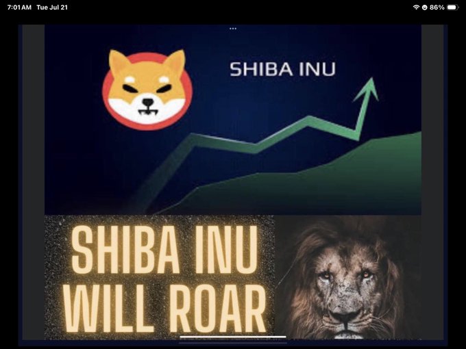 An iPad screenshot taken at 7:01 AM on Tuesday, July 21, displaying a Shiba Inu crypto promotion with an upward trending arrow and a lion graphic captioned 'SHIBA INU WILL ROAR'.