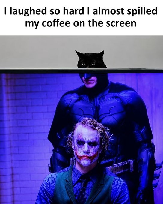 A meme with the caption 'I laughed so hard I almost spilled my coffee on the screen' showing a black cat peering over a shelf above Batman standing behind the Joker.