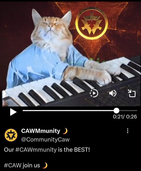 A Twitter/X video post by @CommunityCaw showing a cat in a blue shirt playing keyboard, captioned 'Our #CAWmmunity is the BEST! #CAW join us 🌙'.