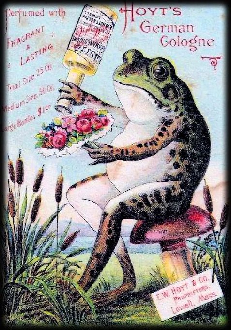 A vintage Victorian-era advertisement for 'Hoyt's German Cologne' featuring an anthropomorphic frog holding a perfume bottle and a bouquet of roses, with text 'Perfumed with Fragrant & Lasting' and pricing details from E.W. Hoyt & Co., Lowell, Mass.