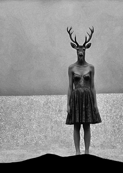 A surreal black and white artwork of a woman wearing a lace dress with a deer's head and antlers, standing in a barren landscape against a cloudy sky.