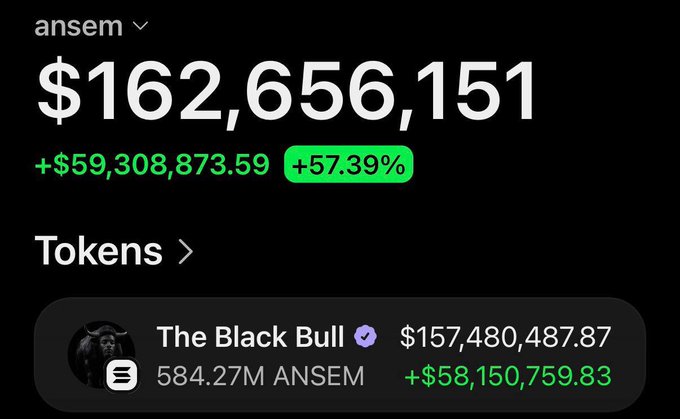 The image shows a wallet labeled "ansem" displaying holdings of "$162,656,151" (+57.39%) in the memecoin $ANSEM, with the top token being "The Black Bull" worth "$157,480,487.87" (584.27M ANSEM). The caption underscores the post's warning that while Ansem's $ANSEM portfolio appears to be worth $163 million on paper, the actual realizable value is far lower since selling would crash the token's price.