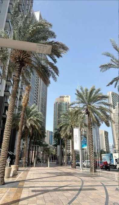 A street view of Dubai showing palm trees lining a wide pedestrian walkway, with the EMAAR skyscraper and other modern high-rises visible under a clear blue sky.
