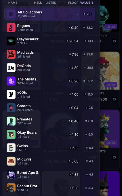 A screenshot of an NFT portfolio tracker showing 290 total holdings with a floor value, displaying a ranked list of top Solana NFT collections including Rogues (0.40, 83.2), Claynosaurz (20.54, 411), Mad Lads (7.96, 39.8), DeGods (4.89, 39.1), and The Misfits (0.26, 35.2), illustrating the user's top 13 NFT "bags" from their year in Solana NFTs.