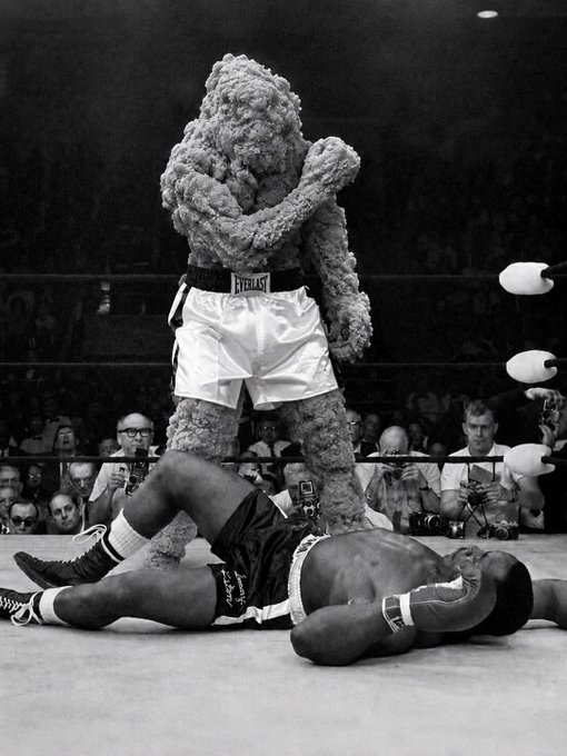 A black-and-white vintage photograph captures a boxing match where a boxer with a towel-like head covering stands over his opponent who lies on the mat.