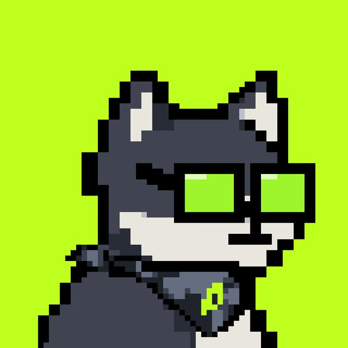 A pixel art portrait of a cool gray and white dog wearing black-framed sunglasses and a collar with a bone-shaped tag, set against a bright green background. The image illustrates the "DogiHood" NFT collection highlighted in the post, showcasing the clean, stylized aesthetic that caught the author's eye.