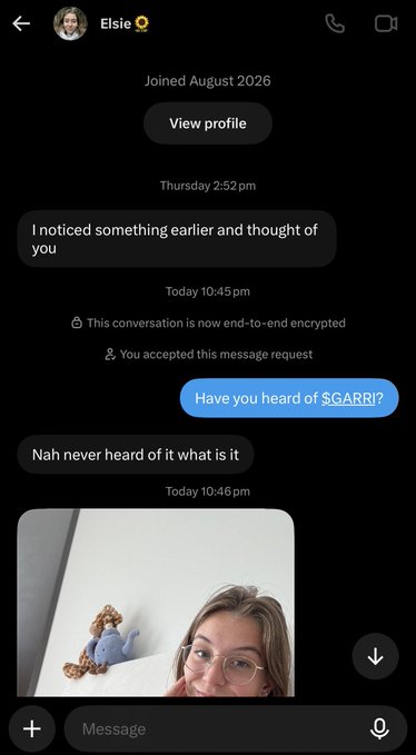 A direct message conversation from Elsie where the user asks "Have you heard of $GARRI?" and receives a reply of "Nah never heard of it what is it" along with a selfie.