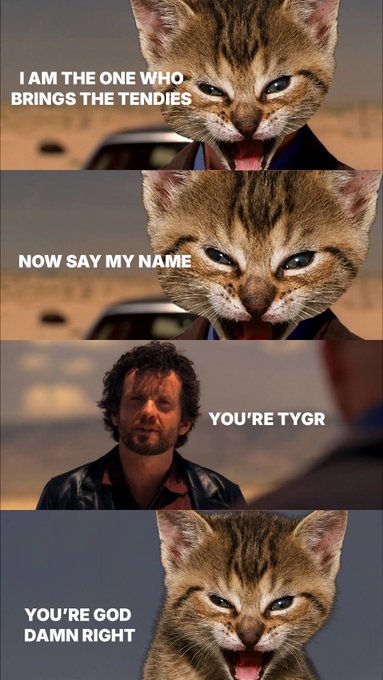 A four-panel Breaking Bad parody meme featuring a photoshopped angry kitten superimposed onto Heisenberg's face, with text reading 'I AM THE ONE WHO BRINGS THE TENDIES,' 'NOW SAY MY NAME,' 'YOU'RE TYGR,' and 'YOU'RE GOD DAMN RIGHT.'