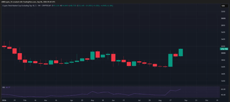 A TradingView chart for the AMEX:Crypto Total Market Cap Excluding Top 10 index displaying bearish weekly performance (-1.30%) with an RSI of 60.27.